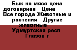 Бык на мясо цена договарная › Цена ­ 300 - Все города Животные и растения » Другие животные   . Удмуртская респ.,Глазов г.